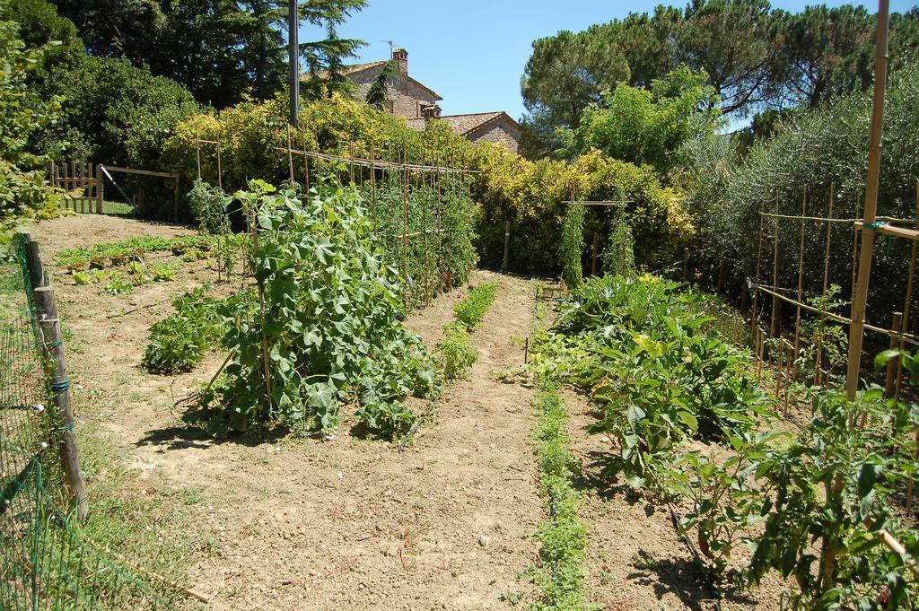 Agriturismo Casale Dei Frontini San Terenziano Exterior foto