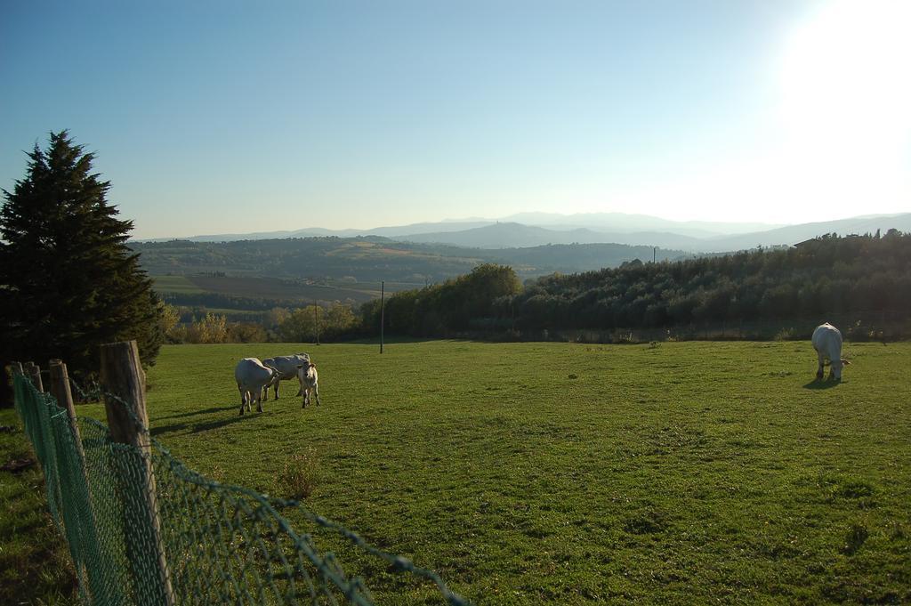 Agriturismo Casale Dei Frontini San Terenziano Exterior foto